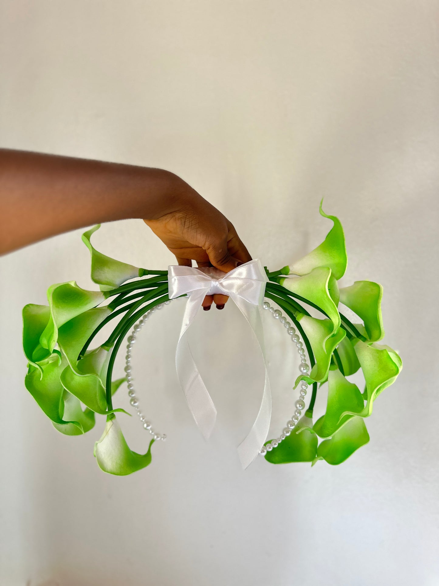 The Inverted Bow(colored)